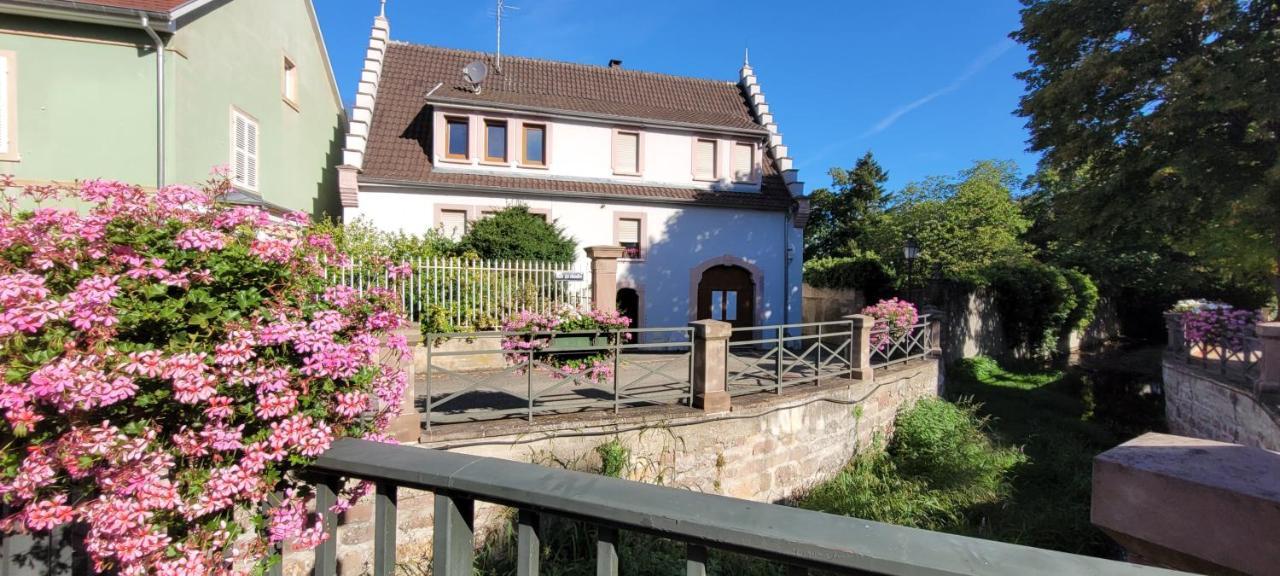 Le Cocon Du Rimbach Apartment Soultz-Haut-Rhin Екстериор снимка