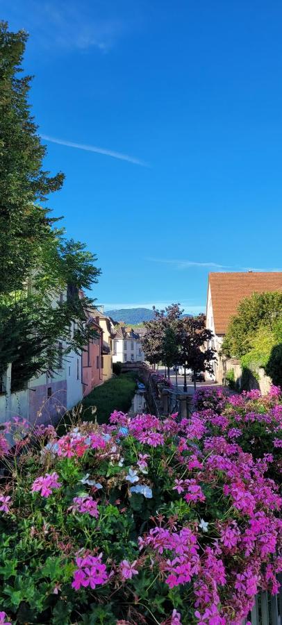 Le Cocon Du Rimbach Apartment Soultz-Haut-Rhin Екстериор снимка
