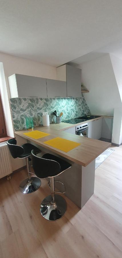 Le Cocon Du Rimbach Apartment Soultz-Haut-Rhin Екстериор снимка