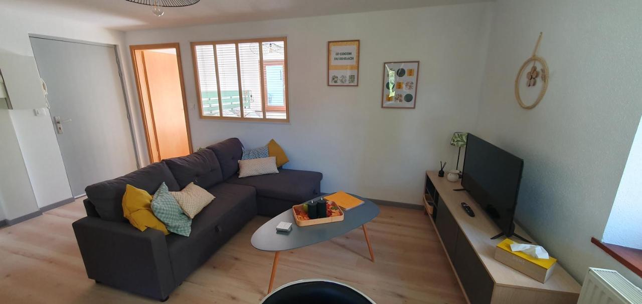 Le Cocon Du Rimbach Apartment Soultz-Haut-Rhin Екстериор снимка