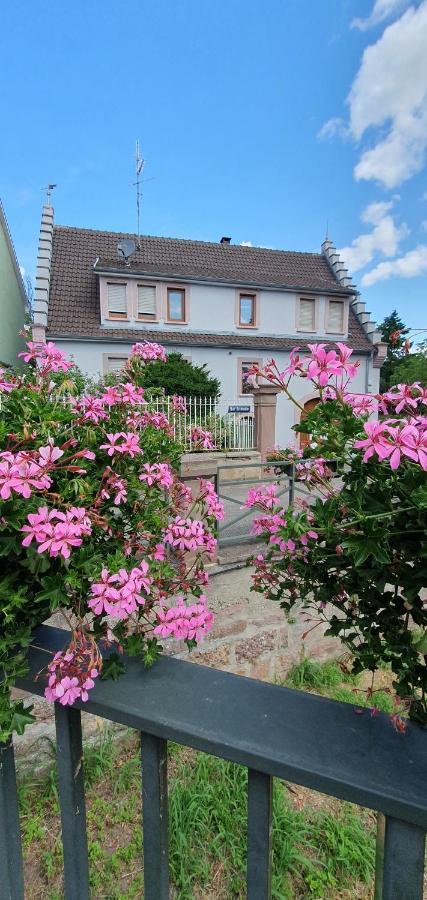 Le Cocon Du Rimbach Apartment Soultz-Haut-Rhin Екстериор снимка